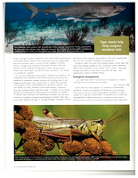 Article intitulé "Landscapes of fear" / Wildlife Australia Magazine